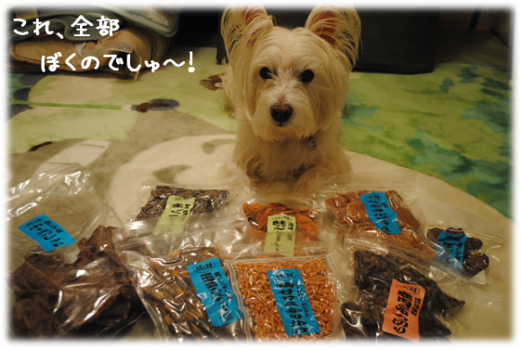 b0242873_00191266.png