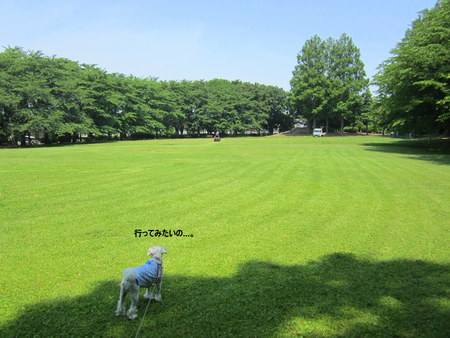 d0264176_20263644.jpg