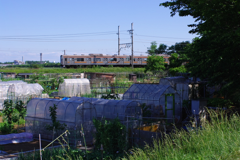 b0120979_1442265.jpg