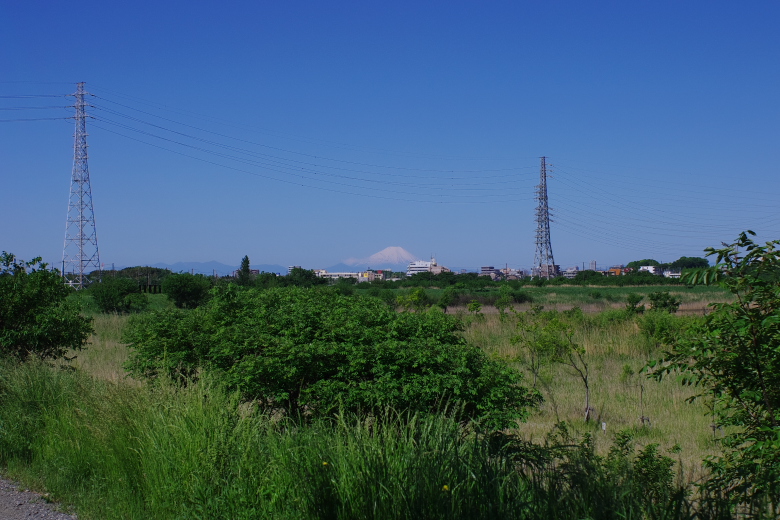 b0120979_1442927.jpg