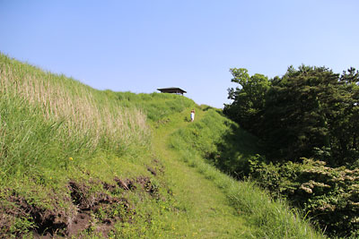 c0152779_1619153.jpg