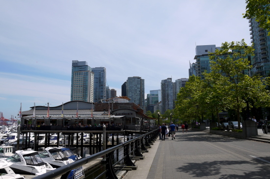d0129786_530447.jpg