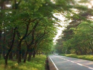 d0214492_6544756.jpg
