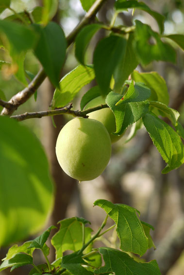 f0222692_14583259.jpg