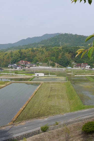 f0222692_1459227.jpg