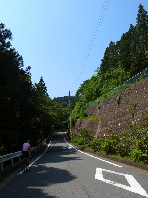 d0081997_20220525.jpg