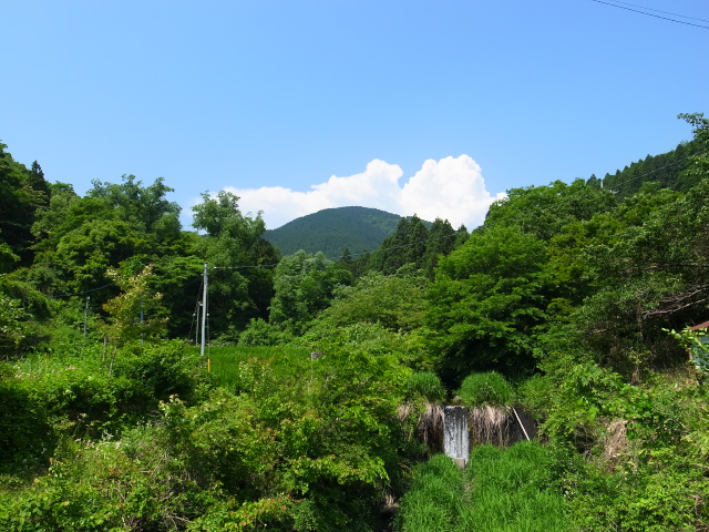d0081997_20232693.jpg