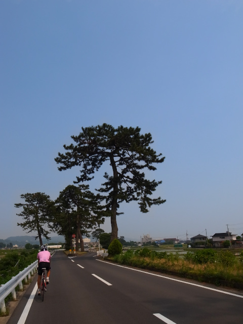 d0081997_20473378.jpg