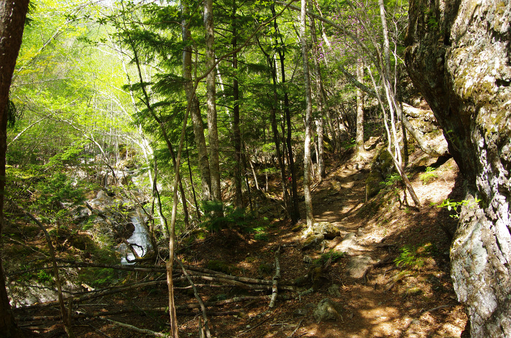 a0158802_23222883.jpg