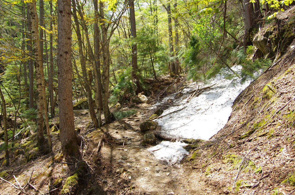 a0158802_23262129.jpg