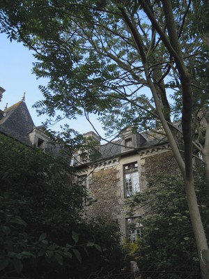 e0206902_2344527.jpg