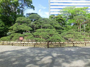 c0187004_1103893.jpg