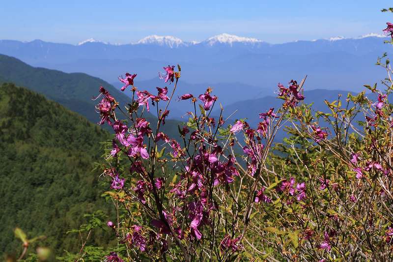 a0188405_951468.jpg