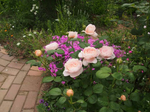 c0117007_2104379.jpg