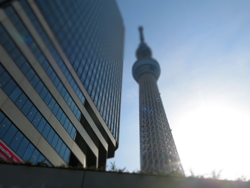 c0203111_21444777.jpg