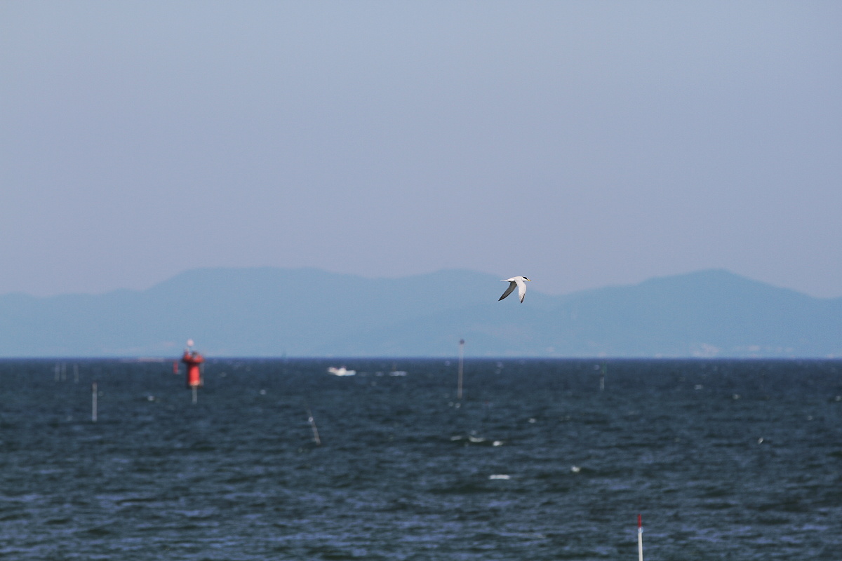 b0222029_179572.jpg