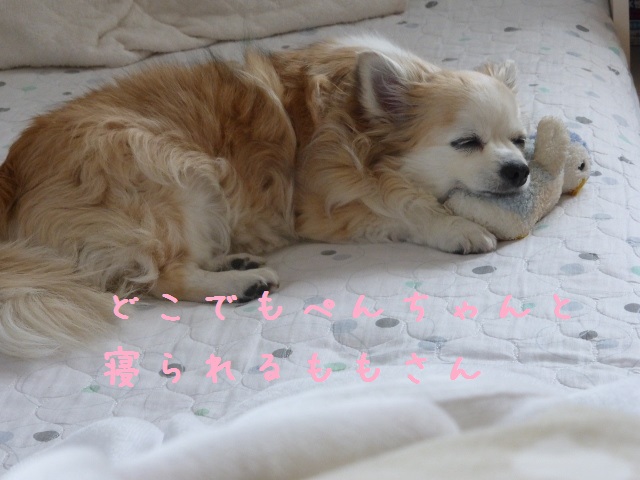 b0138430_11393616.jpg