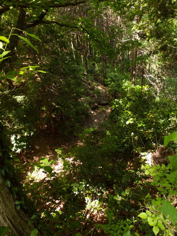b0281732_12481268.jpg