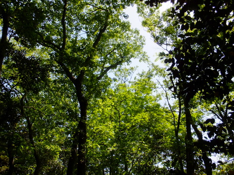 b0281732_12483699.jpg