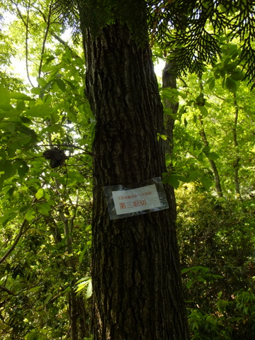 b0281732_12485861.jpg
