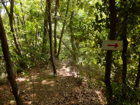 b0281732_12491299.jpg