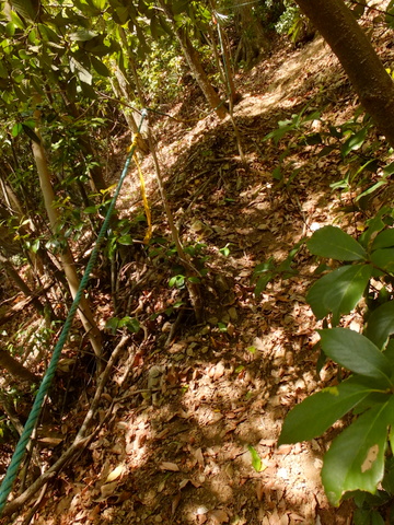 b0281732_12492662.jpg
