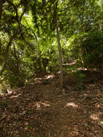 b0281732_12493581.jpg