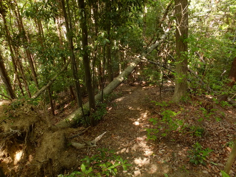 b0281732_12494284.jpg