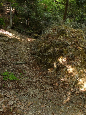 b0281732_1249511.jpg