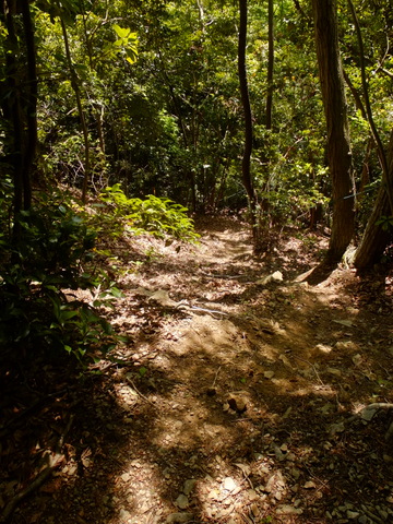 b0281732_1249520.jpg