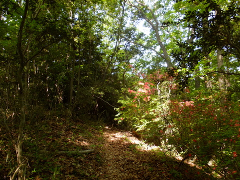 b0281732_12501884.jpg