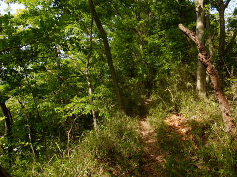 b0281732_12504191.jpg