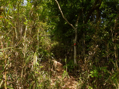 b0281732_12504965.jpg