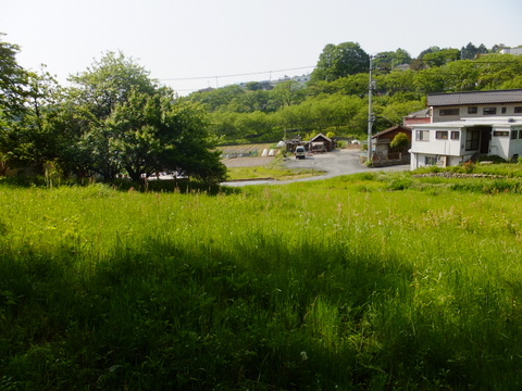 b0281732_12512256.jpg