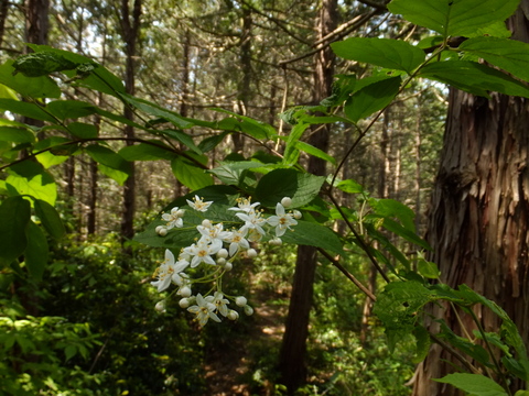 b0281732_828313.jpg