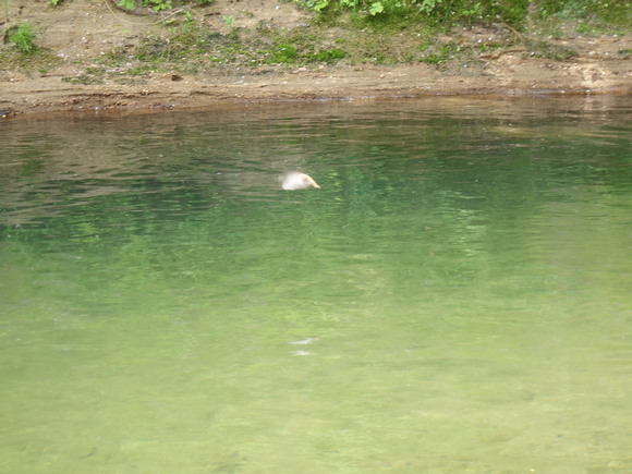 f0118332_23485756.jpg