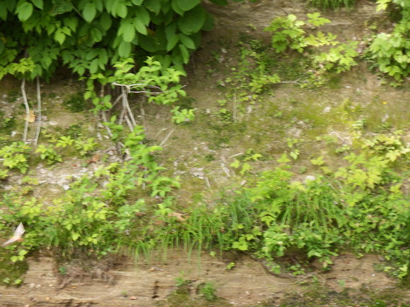 f0118332_23515067.jpg