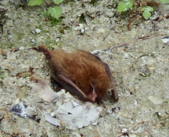 f0118332_23522032.jpg
