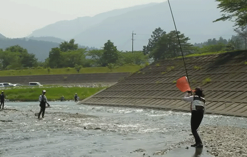a0056140_18272145.gif