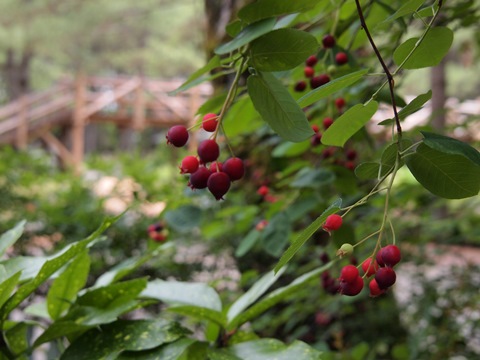 b0199742_2314623.jpg