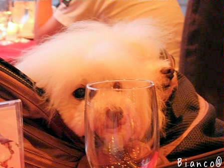 d0118050_08251653.jpg