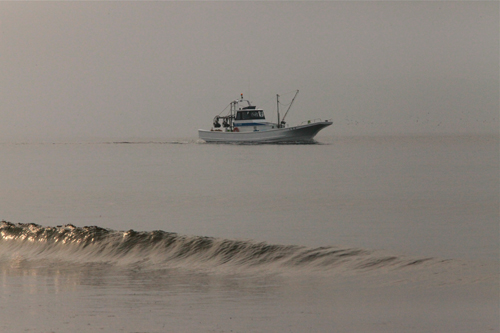 a0157069_7371276.jpg