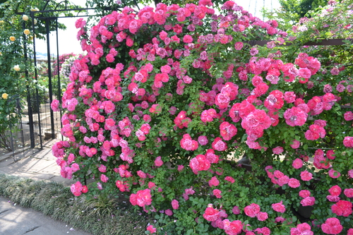 f0342371_19184648.jpg