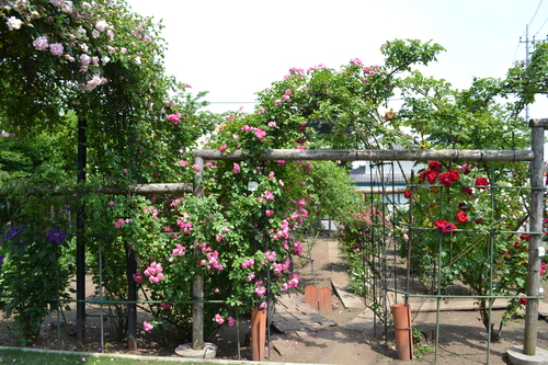 f0342371_1920223.jpg