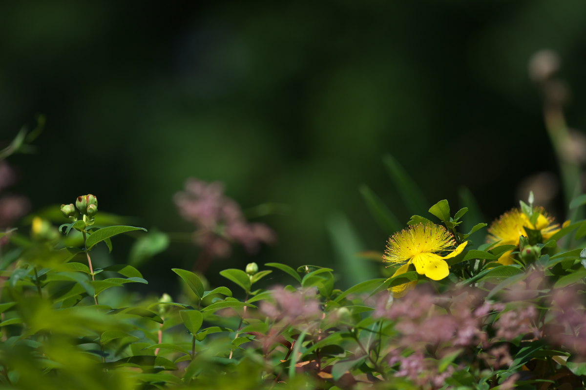 a0083081_15215415.jpg