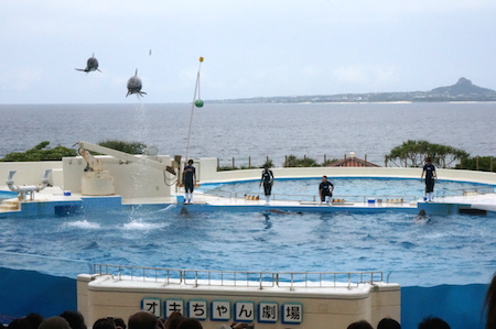 e0194987_15155816.jpg