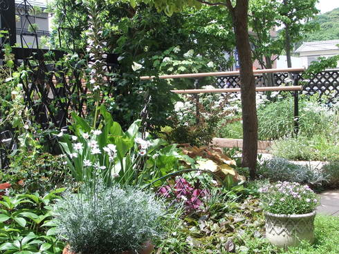b0230589_2333430.jpg