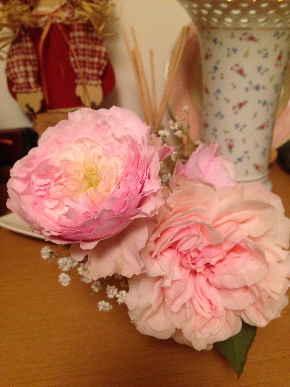 a0279990_20115483.jpg