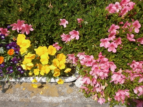 d0000995_2247100.jpg