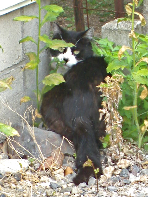 a0199297_15344124.jpg